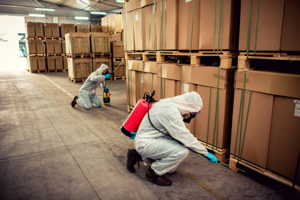 Reliable Piedmont, AL Pest Control Solutions
