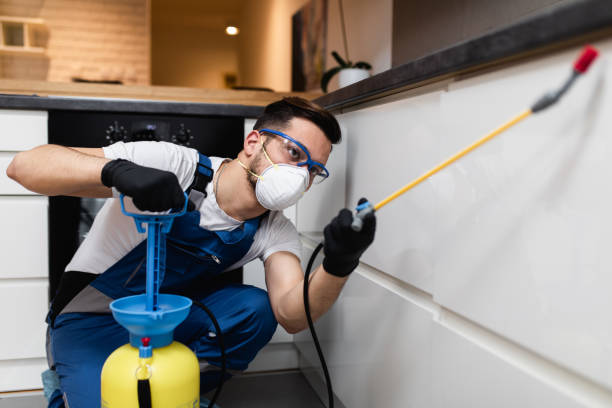 Best Affordable Pest Control Services  in Piedmont, AL