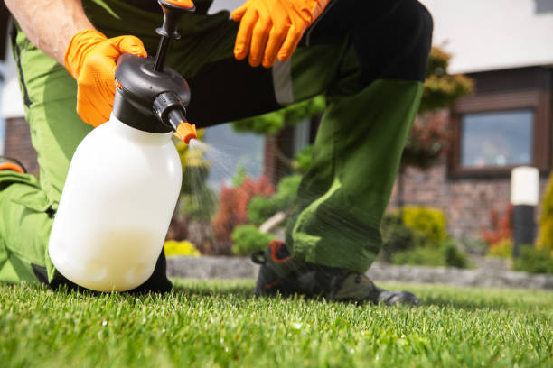 Best Mosquito Control Services  in Piedmont, AL