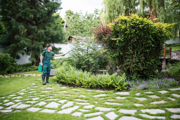 Best Residential Pest Control  in Piedmont, AL
