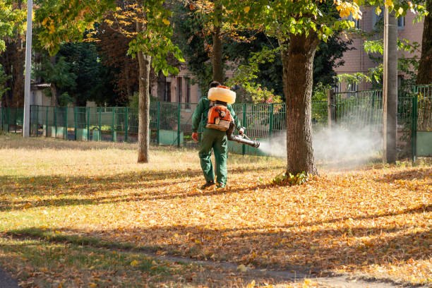 Best Emergency Pest Control  in Piedmont, AL