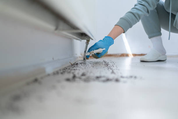 Pest Control Cost in Piedmont, AL